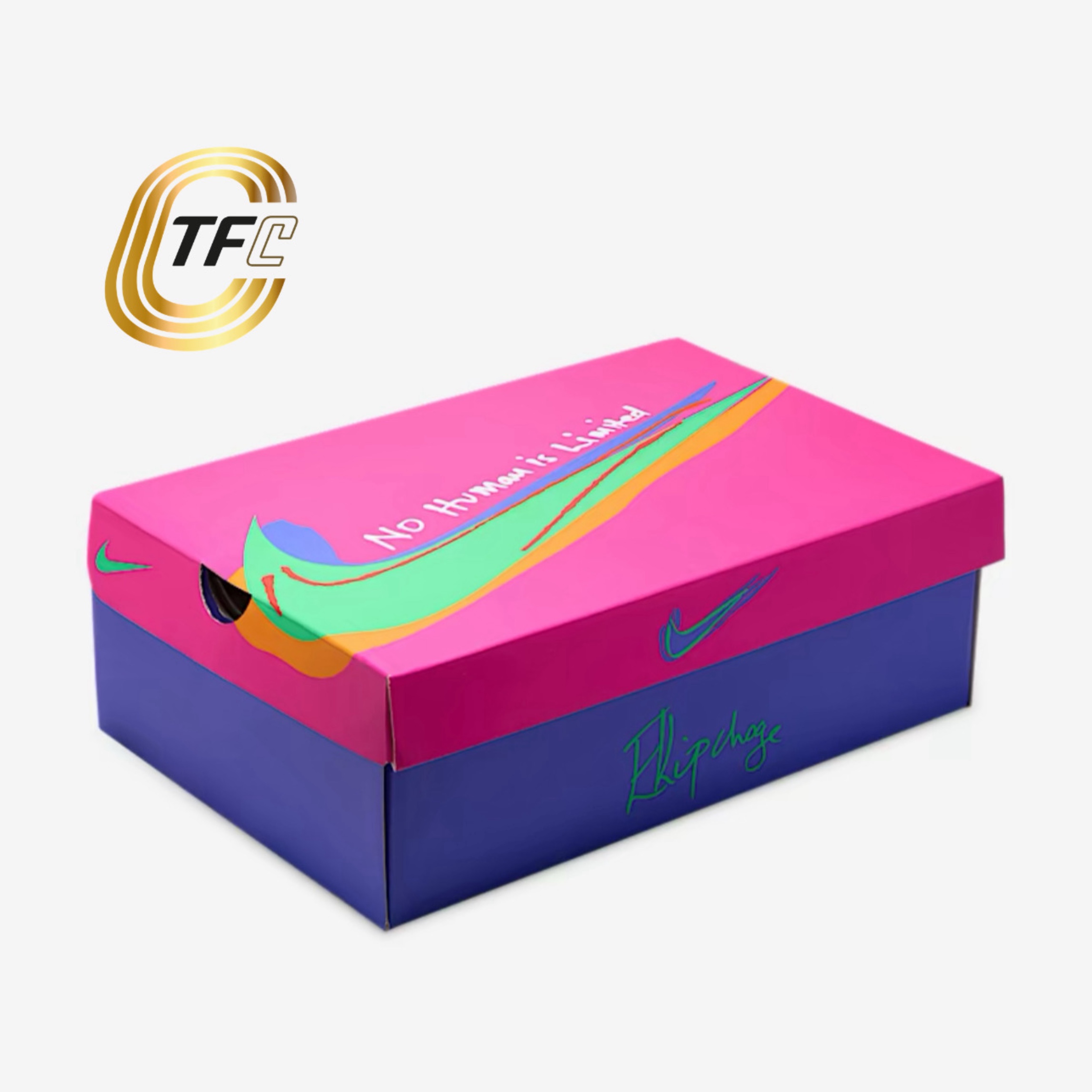 Nike Vaporfly 4 Eliud Kipchoge - Men IH0869-605